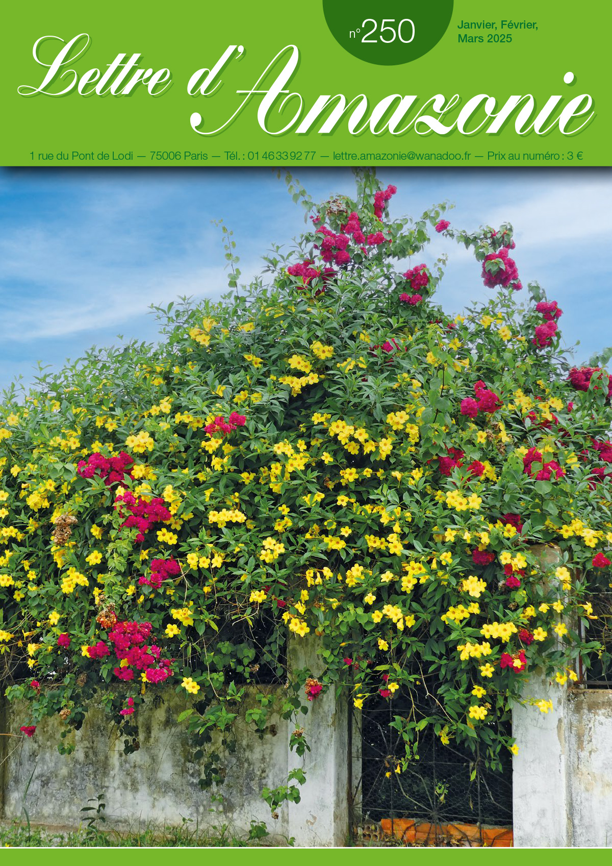 N° 250, 1er trimestre 2025